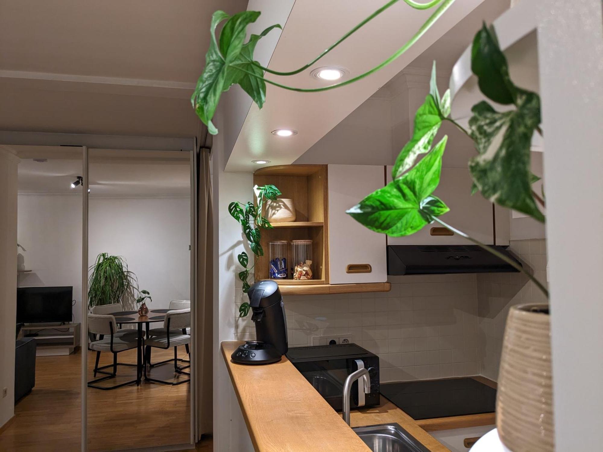 Vista Linda, Leuk Appartement Vlak Bij Zeedijk En Strand Oostende Bagian luar foto
